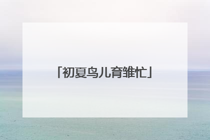 初夏鸟儿育雏忙