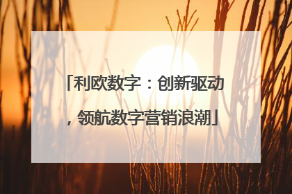 利欧数字：创新驱动，领航数字营销浪潮