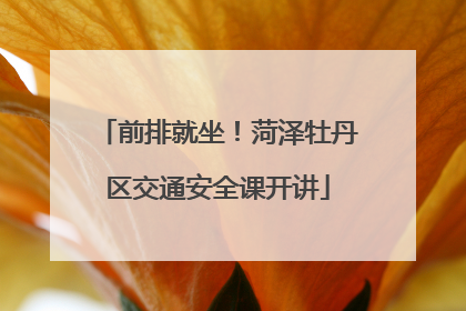 前排就坐！菏泽牡丹区交通安全课开讲
