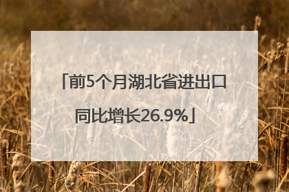 前5个月湖北省进出口同比增长26.9%