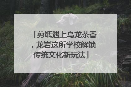 剪纸遇上乌龙茶香，龙岩这所学校解锁传统文化新玩法