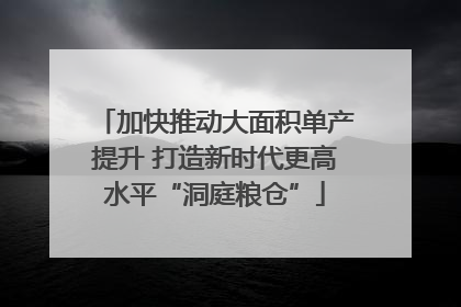 加快推动大面积单产提升 打造新时代更高水平“洞庭粮仓”