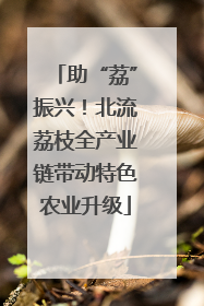 助“荔”振兴！北流荔枝全产业链带动特色农业升级
