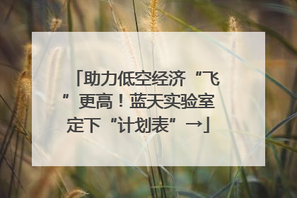 助力低空经济“飞”更高！蓝天实验室定下“计划表”→