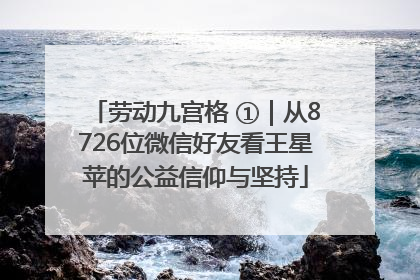 劳动九宫格 ①｜从8726位微信好友看王星苹的公益信仰与坚持