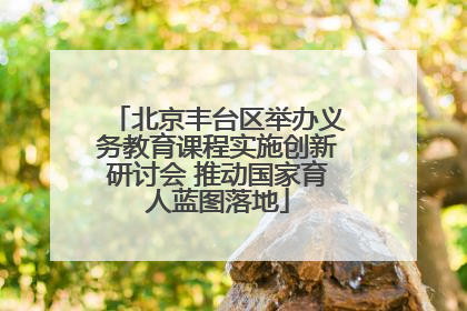 北京丰台区举办义务教育课程实施创新研讨会 推动国家育人蓝图落地