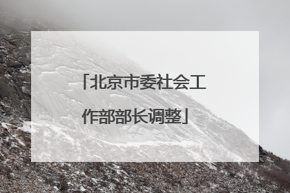 北京市委社会工作部部长调整
