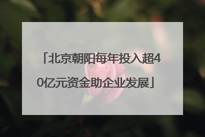 北京朝阳每年投入超40亿元资金助企业发展