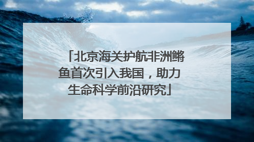 北京海关护航非洲鳉鱼首次引入我国，助力生命科学前沿研究