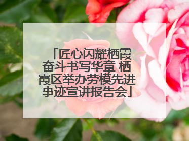 匠心闪耀栖霞 奋斗书写华章 栖霞区举办劳模先进事迹宣讲报告会