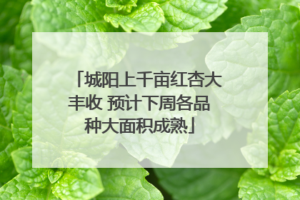 城阳上千亩红杏大丰收 预计下周各品种大面积成熟
