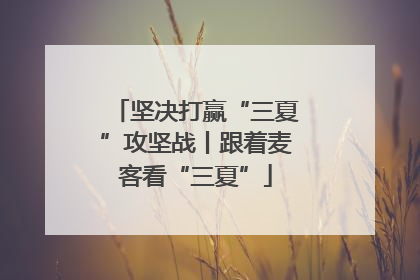 坚决打赢“三夏”攻坚战丨跟着麦客看“三夏”