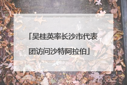 吴桂英率长沙市代表团访问沙特阿拉伯