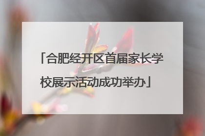 合肥经开区首届家长学校展示活动成功举办