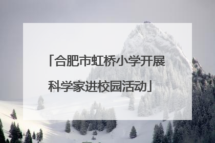 合肥市虹桥小学开展科学家进校园活动