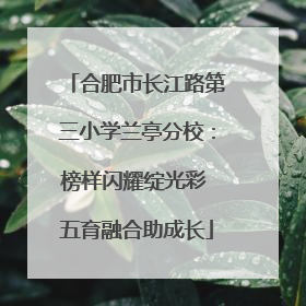 合肥市长江路第三小学兰亭分校：榜样闪耀绽光彩 五育融合助成长