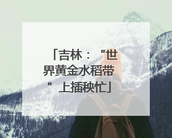 吉林：“世界黄金水稻带”上插秧忙