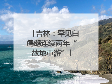 吉林：罕见白鸬鹚连续两年“故地重游”