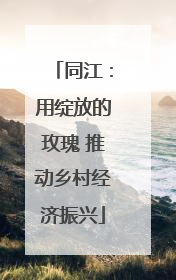 同江：用绽放的玫瑰 推动乡村经济振兴