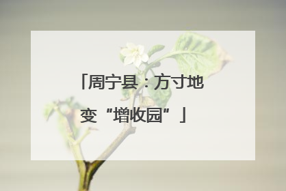 周宁县：方寸地变“增收园”