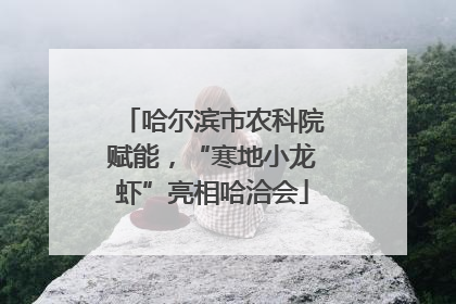 哈尔滨市农科院赋能，“寒地小龙虾”亮相哈洽会