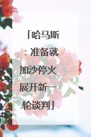 哈马斯：准备就加沙停火展开新一轮谈判