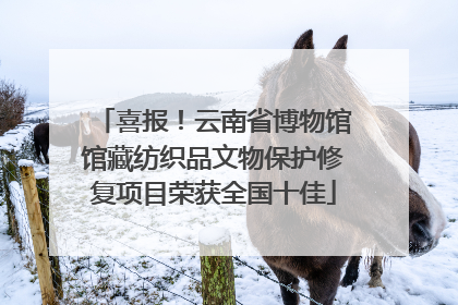 喜报！云南省博物馆馆藏纺织品文物保护修复项目荣获全国十佳