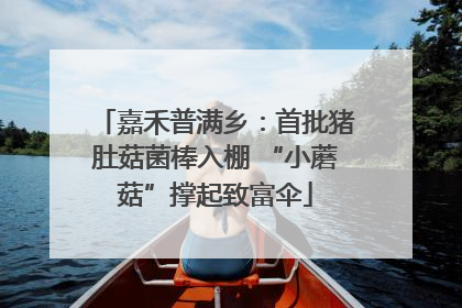 嘉禾普满乡：首批猪肚菇菌棒入棚 “小蘑菇”撑起致富伞