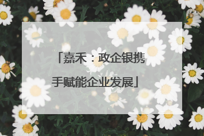 嘉禾：政企银携手赋能企业发展