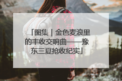 图集|金色麦浪里的丰收交响曲——豫东三夏抢收纪实
