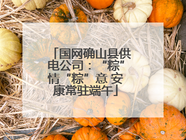 国网确山县供电公司：“粽”情“粽”意 安康常驻端午