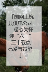 国网上杭县供电公司：暖心关怀迎“六一” 三十载点亮爱与希望