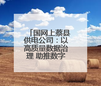 国网上蔡县供电公司：以高质量数据治理 助推数字化转型