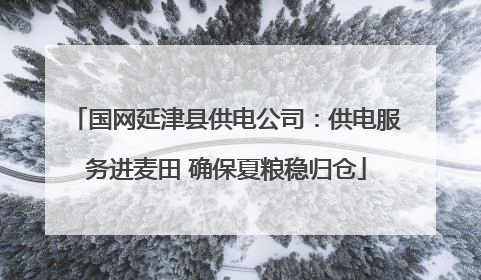 国网延津县供电公司：供电服务进麦田 确保夏粮稳归仓