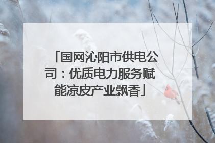 国网沁阳市供电公司：优质电力服务赋能凉皮产业飘香