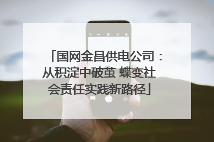 国网金昌供电公司：从积淀中破茧 蝶变社会责任实践新路径