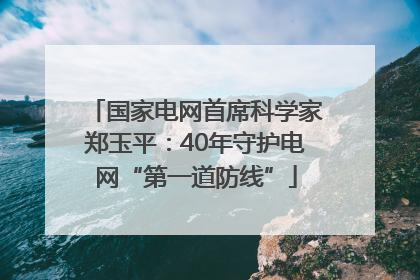 国家电网首席科学家郑玉平：40年守护电网“第一道防线”