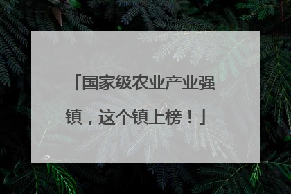 国家级农业产业强镇，这个镇上榜！