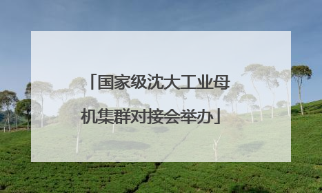 国家级沈大工业母机集群对接会举办