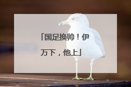 国足换帅！伊万下，他上