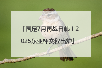 国足7月再战日韩！2025东亚杯赛程出炉