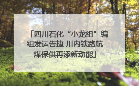 四川石化“小龙组”编组发运告捷 川内铁路航煤保供再添新动能