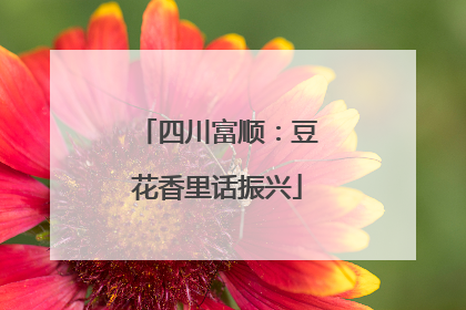 四川富顺：豆花香里话振兴