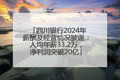 四川银行2024年薪酬及经营情况披露：人均年薪33.2万，净利润突破20亿
