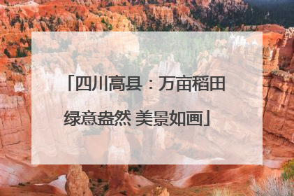 四川高县：万亩稻田绿意盎然 美景如画