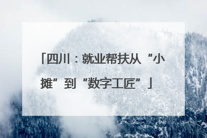 四川：就业帮扶从“小摊”到“数字工匠”