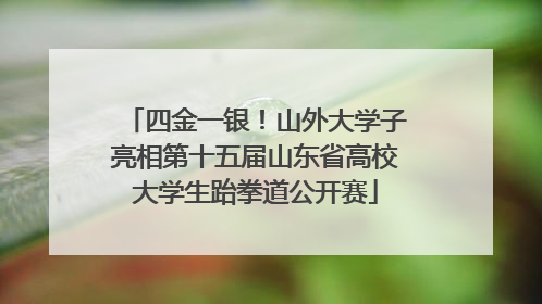 四金一银！山外大学子亮相第十五届山东省高校大学生跆拳道公开赛