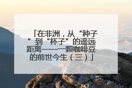 在非洲，从“种子”到“杯子”的遥远距离——一颗咖啡豆的前世今生（三）