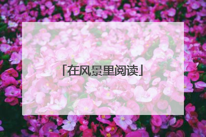 在风景里阅读