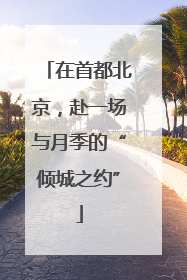 在首都北京，赴一场与月季的“倾城之约”